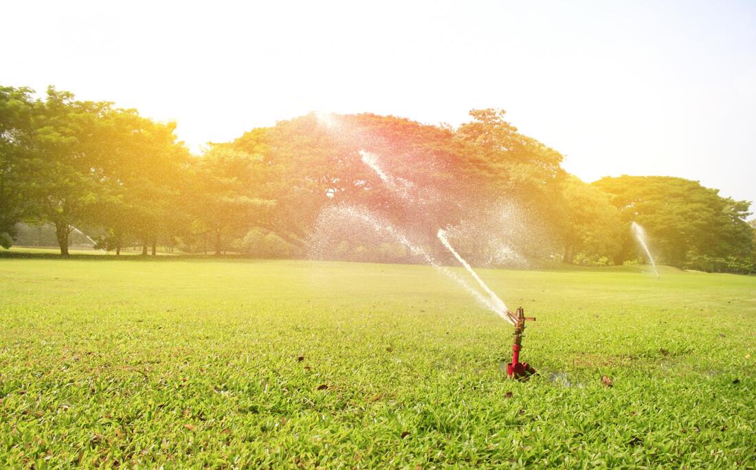 sprinkler watering a large grass field on a beautiful sunny day