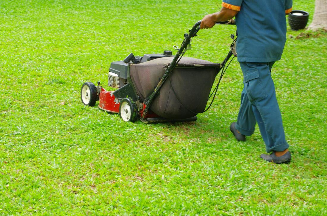 a worker mowing the lawn